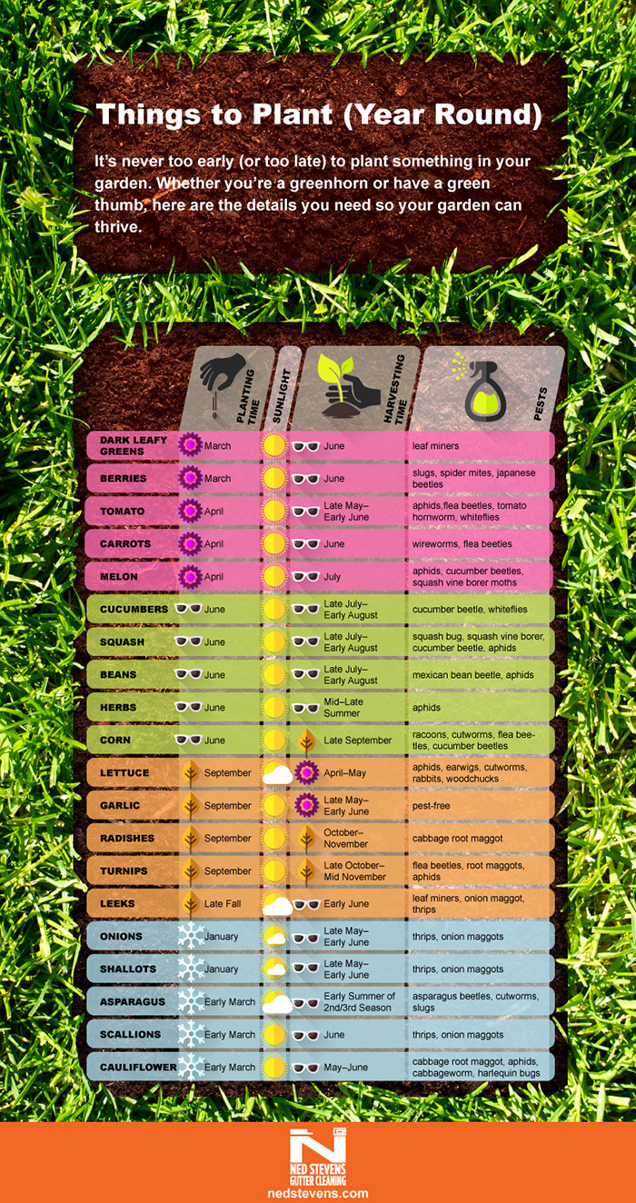 Planting Guide infographic